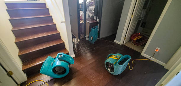 Best Basement water damage restoration  in Gibbon, NE
