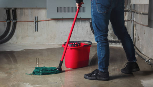 Best Carpet water damage restoration  in Gibbon, NE