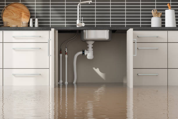 Best Water damage restoration company  in Gibbon, NE
