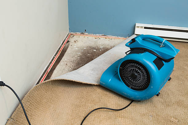 Best Residential water damage restoration  in Gibbon, NE